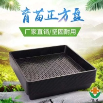 方盘育苗盘种植盘