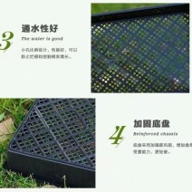 方盘育苗盘种植盘