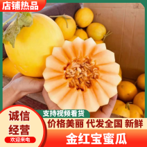 金红宝蜜瓜民勤蜜瓜大吨位供货，品质好糖度高，价格可谈