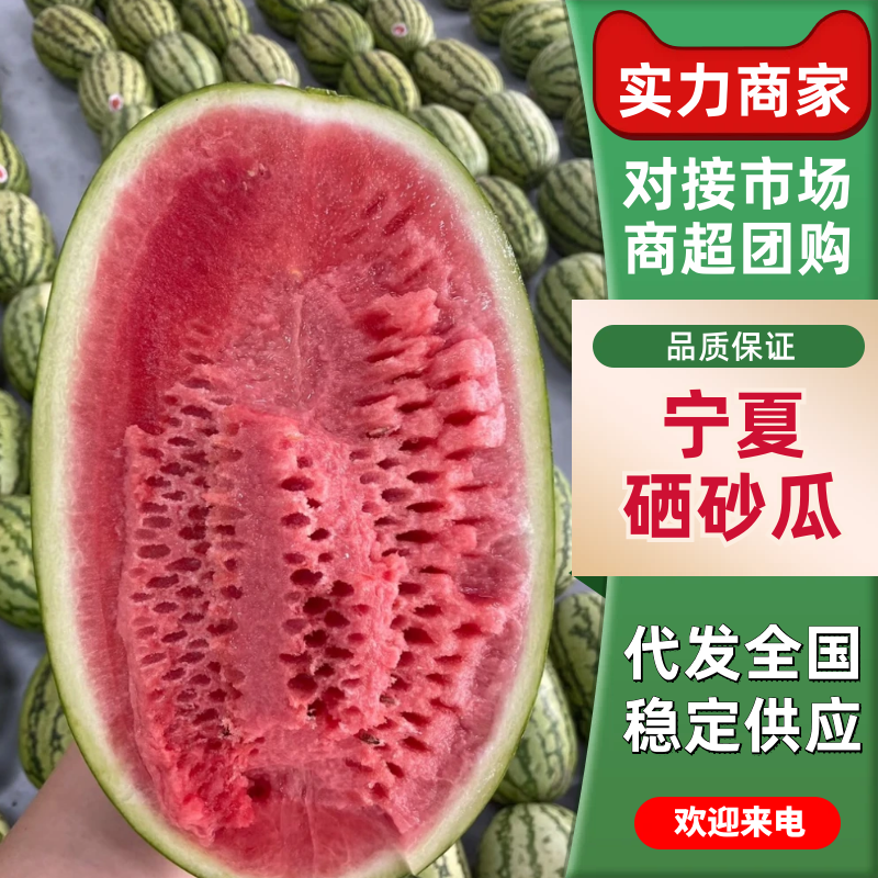 硒砂瓜中卫石缝瓜甜度高汁水多包熟包甜代发全国