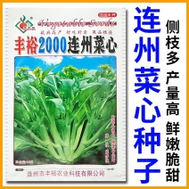 丰裕2000连州菜心种子广东多芽甜菜心种子白菜苔种子