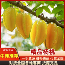 【甜】杨桃广东精品杨桃量大从优味甜果型好欢迎选购