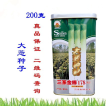 三系金棒章丘大葱种子200g大梧桐大葱种子叶厚抗病