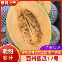 西州蜜瓜17号西州蜜海南哈密瓜包熟包甜代发全