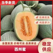 甘肃西州蜜瓜大量现货供应，口感好糖度高，价格可谈欢迎电联