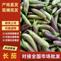 长茄湖北茄子宜昌长茄新鲜现发表皮光亮对接全国