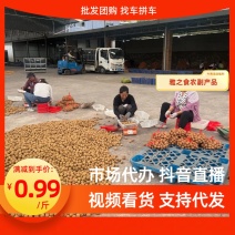 【好评】核桃市场代办抖音直播电商一件代发批发团购找车拼车