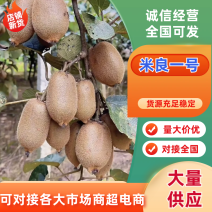 湖南湘西吉首凤凰县产区米良1号开始出货货源充足，量大从优