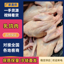 乳鸽鸽肉品质保证价格优惠产地直发视频看货