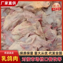 乳鸽肉品质保证价格优惠产地直发诚信经营多年视频看货