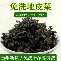 地皮菜野生免洗河南干货地软天然地衣菜非免洗雷公菌蒸包子商