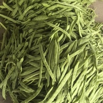 山西油豆角大扁基地一手货源全国发货可视频看货