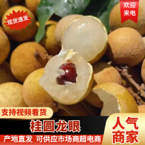 广西桂圆龙眼/石硖龙眼/规格齐全/可视频看货/价格可谈