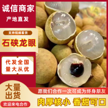 广西石硖龙眼产地一手货源，规格齐全品质好价格低，视频看货