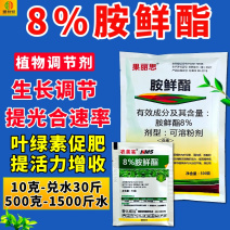 8%胺鲜酯调节剂促花果防冻抗逆生根绿叶农药农作物用