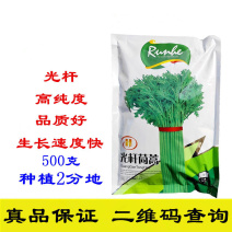 光杆茼蒿种子小叶茼蒿种子500g皇帝菜种子叶色浓绿生长快