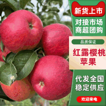 精品红露苹果云南苹果产地直发品质保障货发全国