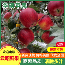 云南昭通早熟华硕苹果代收代办整车待发落地配