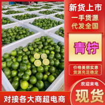 青柠檬云南柠檬，产地一手货源规格齐全，视频看货代发全国