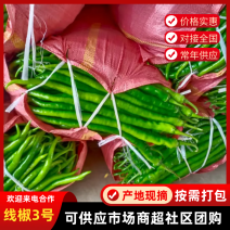 线椒3号云南鲜辣椒产地直发，品类齐全，量大从优视频看货