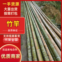 竹竿山头价直销，价格优惠品种不一样价格不一样电联详谈