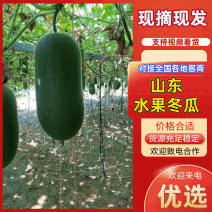 山东郯城精品水果冬瓜大量有货供应，有需要的联系