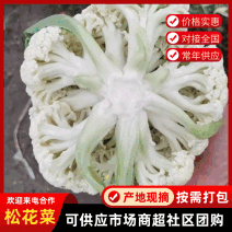 有机花菜散花花菜大量上市新鲜采摘欢迎采购量大从优