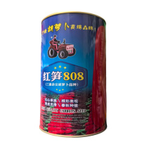 红笋808胡萝卜种子高产三系杂交胡萝卜种子进口
