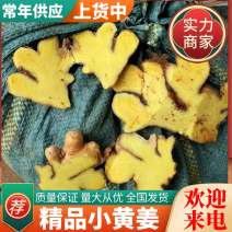 小黄姜/山东生姜/产地常年供应（水洗姜风干姜）全国发货