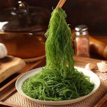 福建霞浦盐渍龙须菜海菜绿藻海藻丝海发菜海草凉拌菜火锅食材