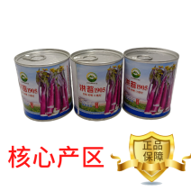 【洪苔1905】基地优选正宗湖北武汉洪山菜苔种子粗苔子抗