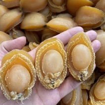 [牛]25头鲍鱼肉鲍鱼干，按需包装，价格优惠，产地直发