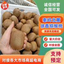 徐香猕猴桃规格齐全，商超一件代发、落地配随时合作