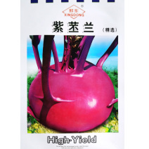 邢东紫苤蓝种子秋季中熟70天紫丕兰薄质脆大田基地高产种籽