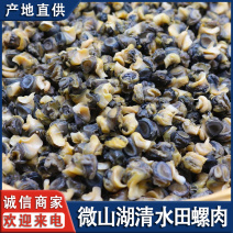 微山湖清水田螺肉生态田螺现剥新鲜螺肉全国发货量大从忧