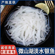 微山湖淡水银鱼新鲜大小号冻板包装可定制全国发货量大从忧