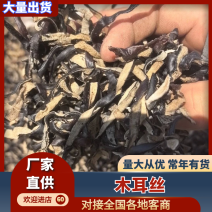 精品木耳丝山东毛木耳白背毛木耳丝