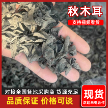 [牛]【优选】钦农木耳商行优质黑木耳秋木耳质量保证预定发货