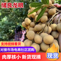 【基地直发】广西储良龙眼贵港龙眼产地直供代发全国