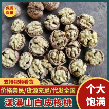 新货2025年产地发货漾濞山白皮核桃大果7.9元一斤