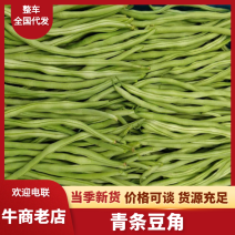 山西太谷冷棚精品豆角长豆角货源充足一手货源