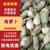 山西省太谷沙地青萝卜量大质优欢迎老板联系