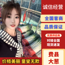 铁杆大葱.江苏大葱.启东大葱中粗五指全部现货