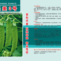 乐美3号荷兰豆品质保证服务周到