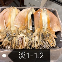 精品墨鱼干规格齐全可电联详谈质优价廉
