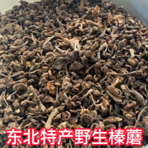 东北野生榛蘑，自然晾晒，去根去泥可一件代发