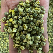 胎菊王散装批发花草茶胎菊米菊花茶泡水喝胎菊大货批