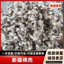 新疆棉壳量大从优价格美丽可视频看货诚信经营