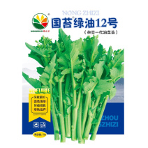 国苔绿油12号杂交种采收期长苔色油绿鲜嫩甜脆早熟高产