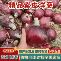 精品洋葱，质量上乘，货源充足，欢迎老板来电询价